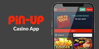 Pin Up Bet India -- Sports Betting With Reward